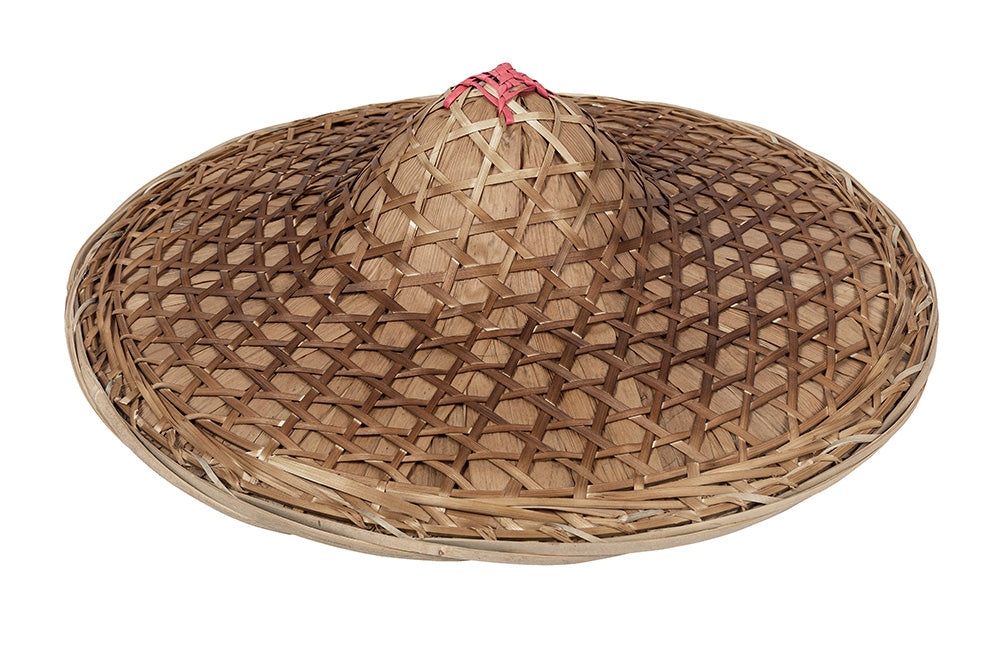 Costume de Cosplay Raya