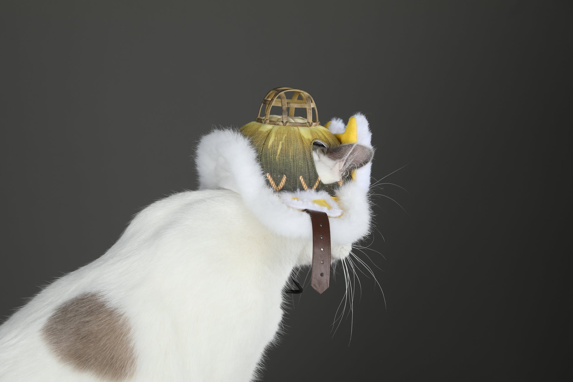 Costume de Cosplay de Chapeau Palico pour Chat