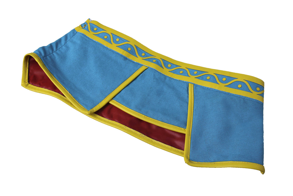 Costume Cosplay de Princesse Zelda Tenue Bleue