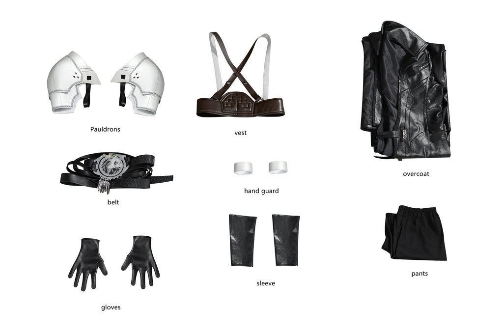 Costume de Cosplay de Sephiroth
