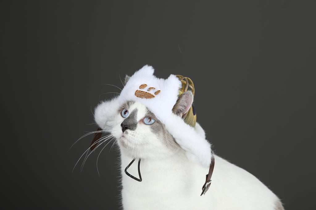 Costume de Cosplay de Chapeau Palico pour Chat