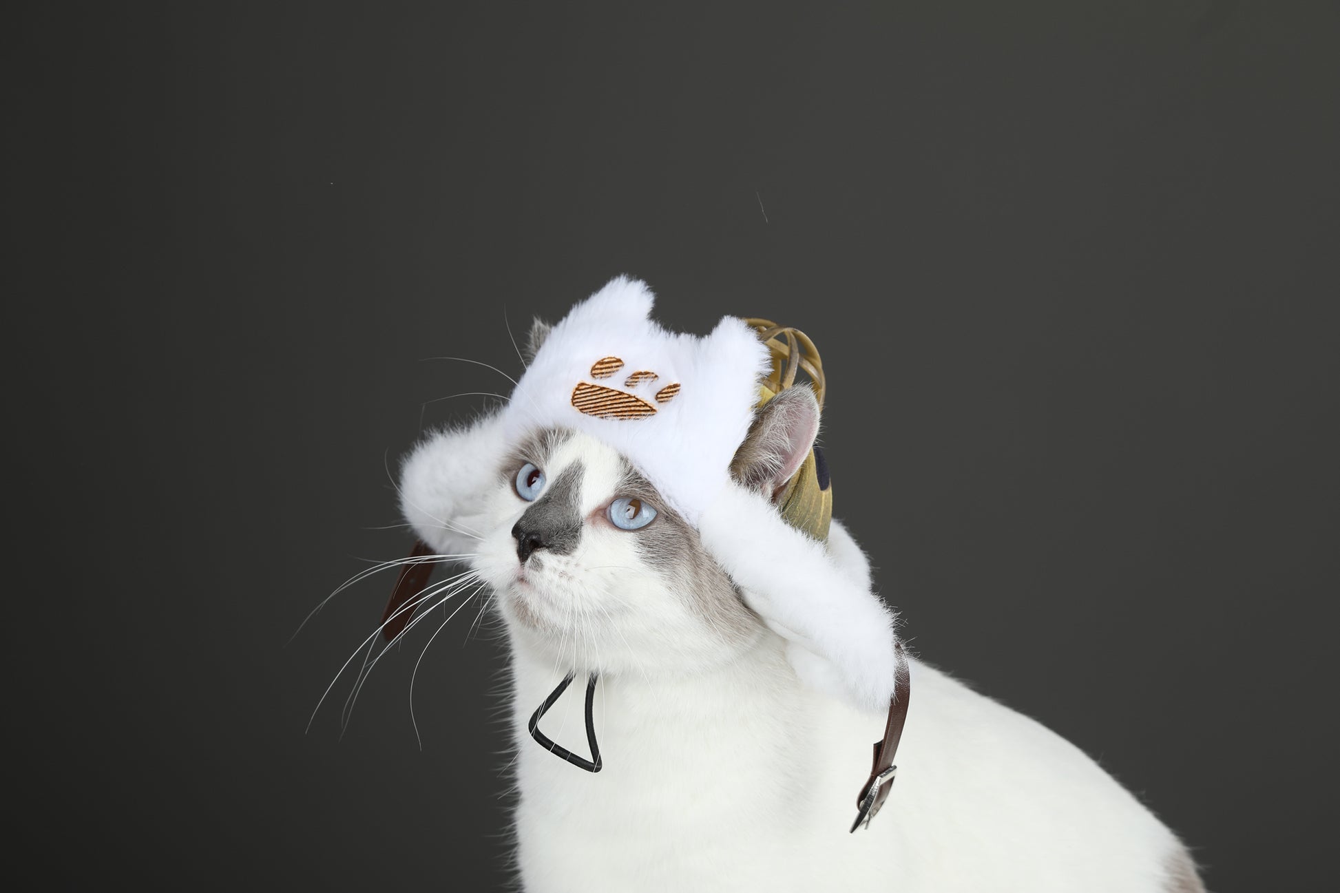 Costume de Cosplay de Chapeau Palico pour Chat