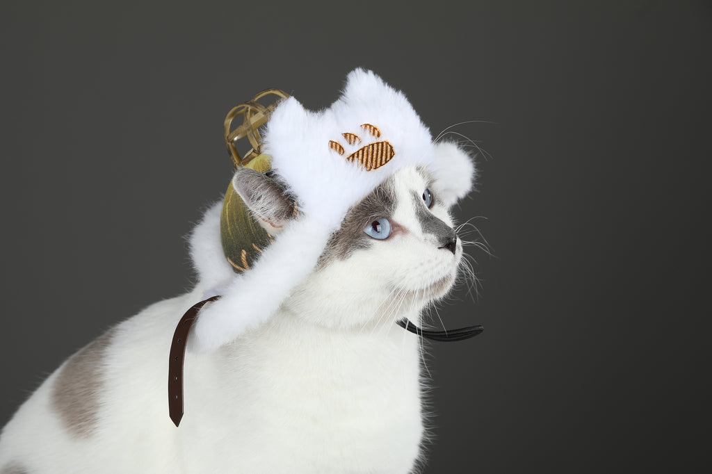 Costume de Cosplay de Chapeau Palico pour Chat