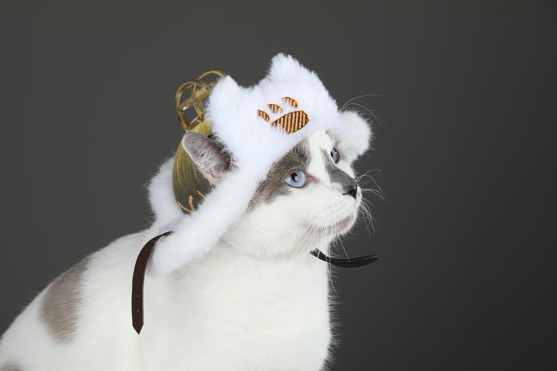 Costume de Cosplay de Chapeau Palico pour Chat