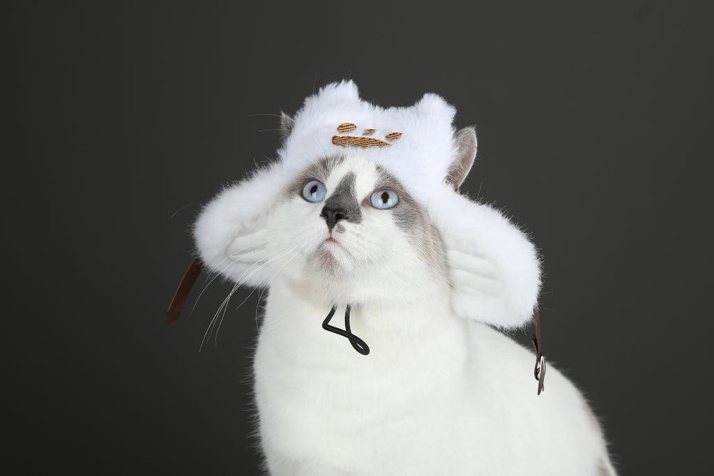 Costume de Cosplay de Chapeau Palico pour Chat