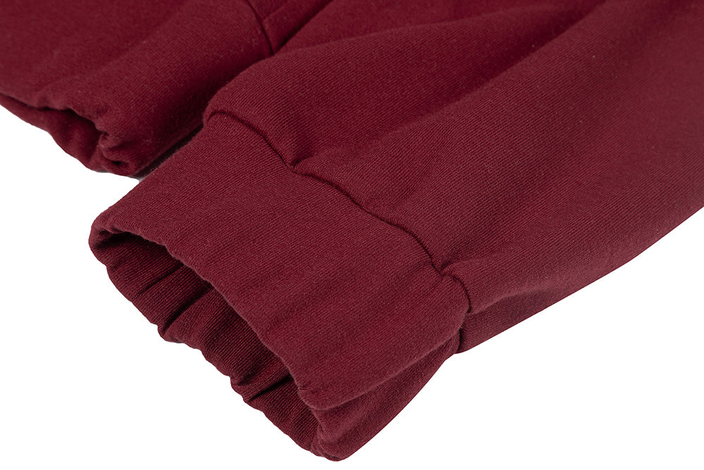 Manteau de Cosplay de Wanda Django Maximoff