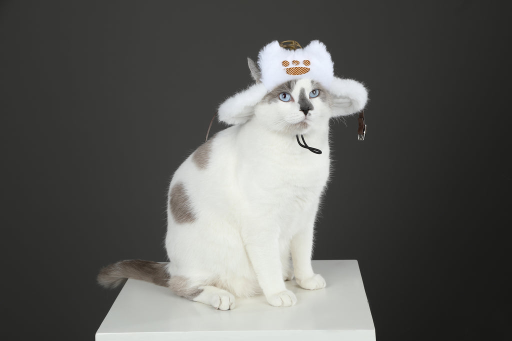 Costume de Cosplay de Chapeau Palico pour Chat